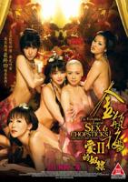 金瓶外传