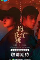 红桃影视在线观看免费高清电视剧韩剧红